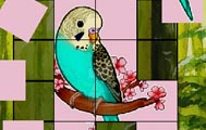 Игры пазлы Cute Budgie Puzzle