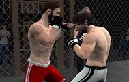 Undisputed MMA