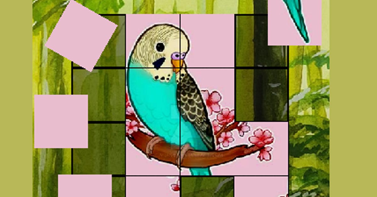 Cute Budgie Puzzle - play puzzle game online