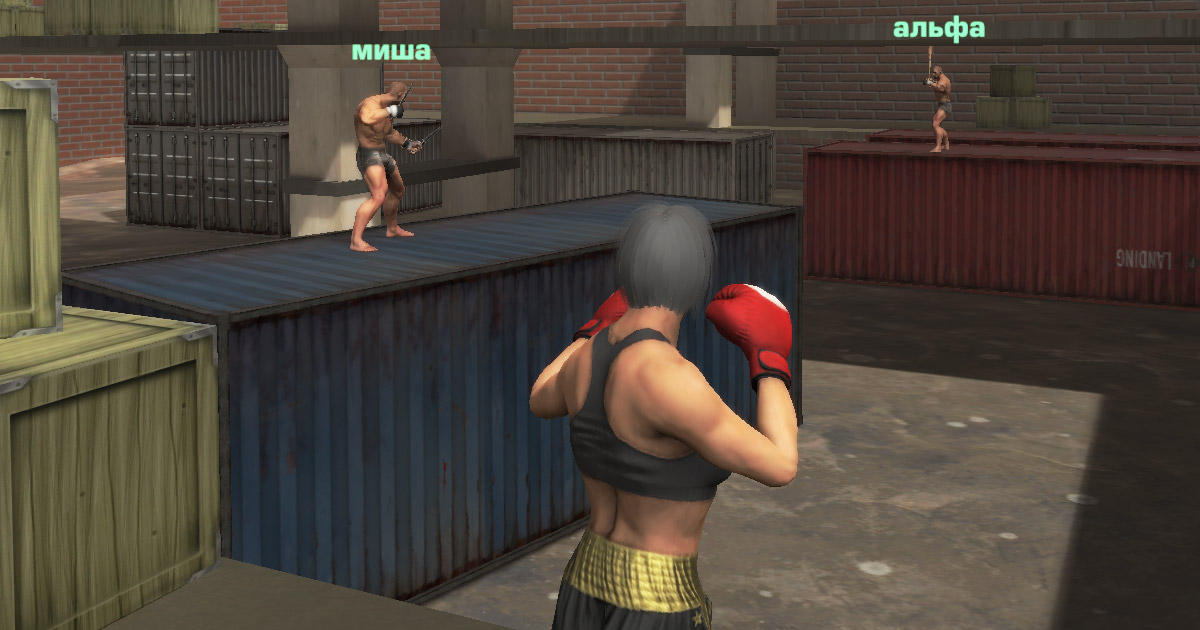 Fight Arena Online — Play for free at